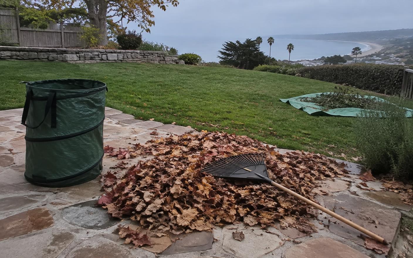 Raked leaves and bagged green waste beside a clean patio and lawn edge
